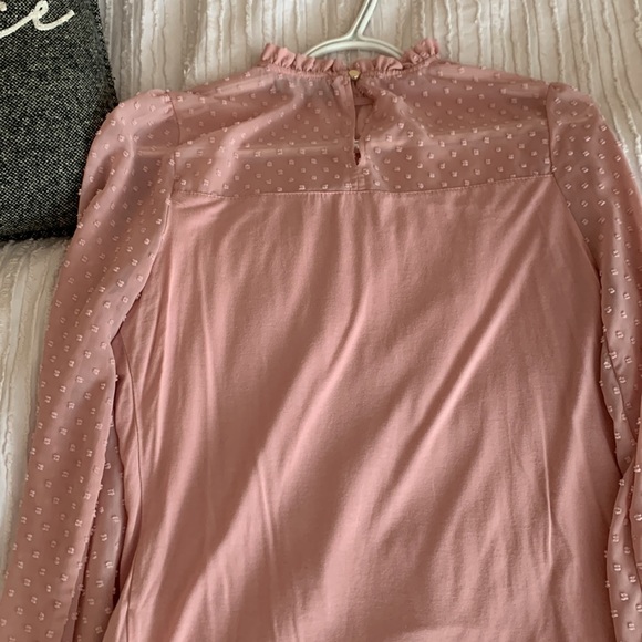 Suzy sheir - Picture 3 of 4